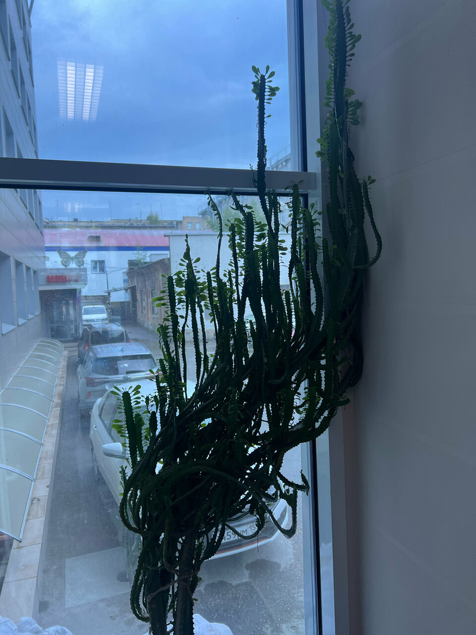 Гостиница City Star Пермь-120